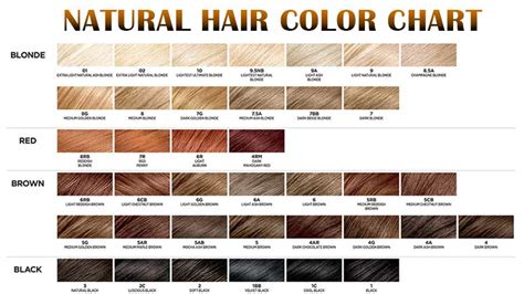 The Insider Secret On Natural Hair Color Chart Uncovered - Layla Hair - Shine your beauty!