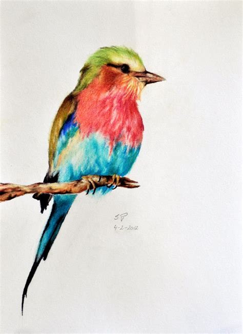 Pin by Nikki on Bird paintings | Watercolor art, Watercolor bird ...