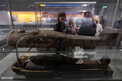 1,965 National Archaeological Museum Naples Stock Photos, High-Res ...