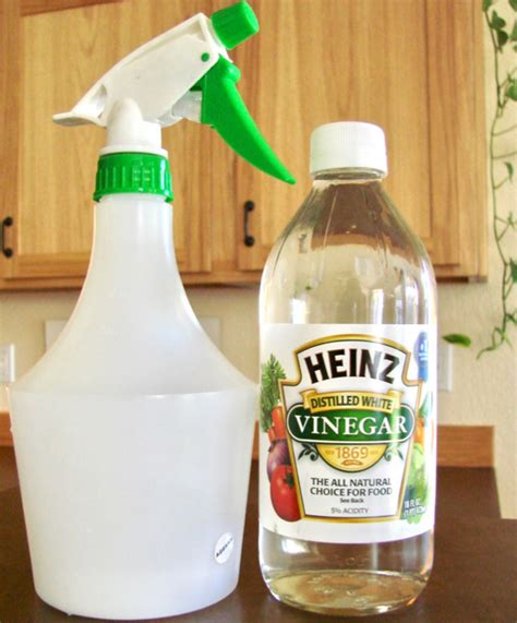 Homemade Weed Killer with White Vinegar! (DIY Spray)