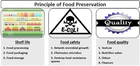 Common Food Preservation Techniques, Methods & Types – FICSI