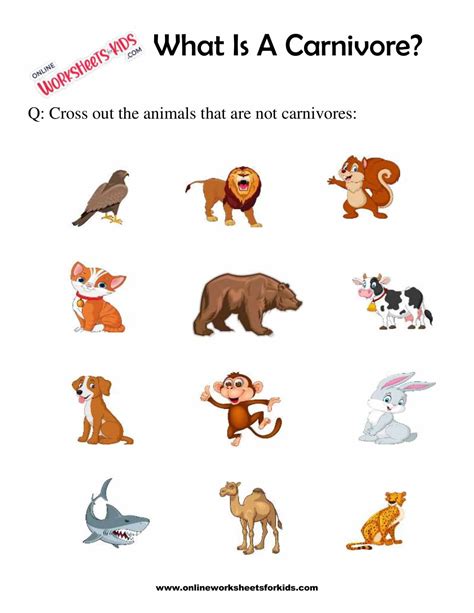 What Is A Carnivore Worksheets For 1st Grade 3