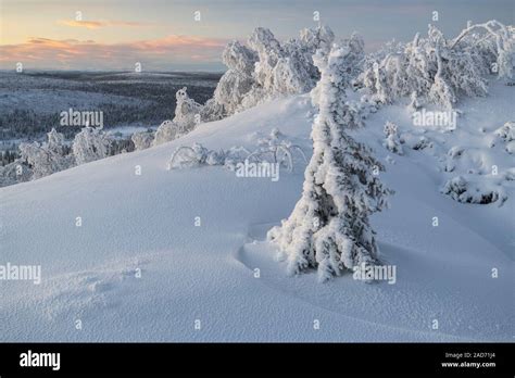 Winter landscape, Lapland, Sweden Stock Photo - Alamy