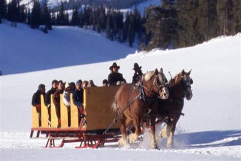 Sleigh Ride Dinners in Vail and Beaver Creek - Mountain Resort Concierge