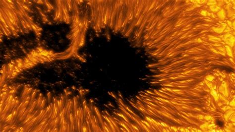 Check out these amazing close-up images of the Sun - BBC Newsround