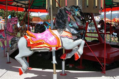 Merry-go-Round Horse Photograph by Mary M Collins | Fine Art America