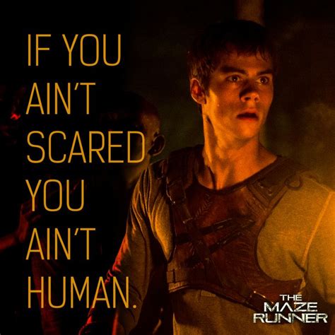 Thomas Maze Runner Quotes. QuotesGram