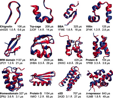 Protein Folding Computational Complexity at Wanda Baptist blog