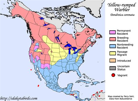 Yellow-rumped Warbler - Species Range Map