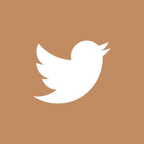 twitter App icon in 2021 | App icon, Iphone photo app, Iphone icon