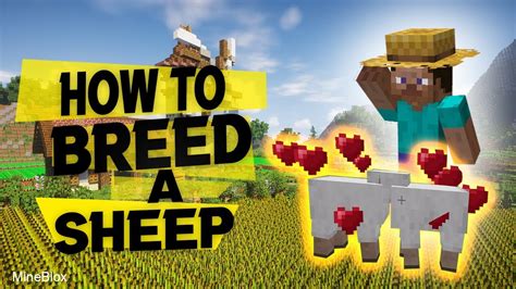 How to Breed Sheep in Minecraft: Get Wool and Mutton for Your Adventures! - YouTube