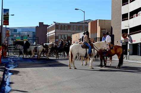 Denver Stock Show | Denver Public Library Special Collections and Archives