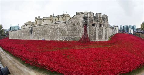 Anger as just a third of cash from Tower of London poppy display goes to charities - Mirror Online