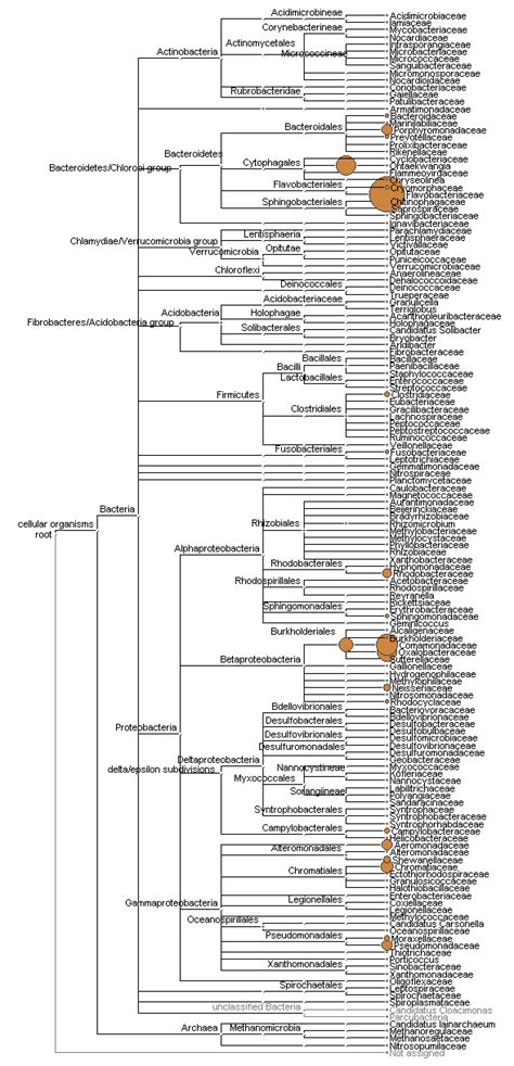 An experimental comparison of composite and grab sampling of stream water for metagenetic ...