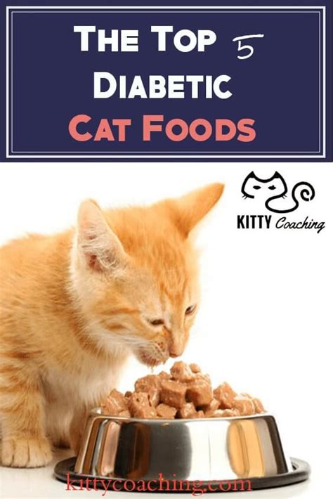 Diabetic Cat Food Reviewed - Our Top 5 Picks (2018)