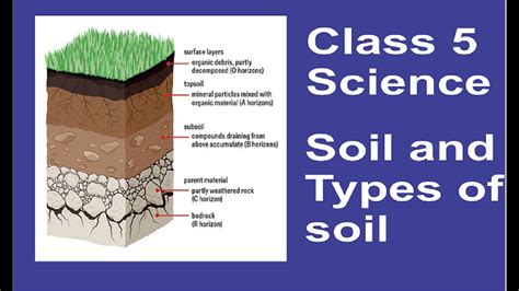 Soil and types of soil Class 5 science Chapter 9 part 2 - YouTube