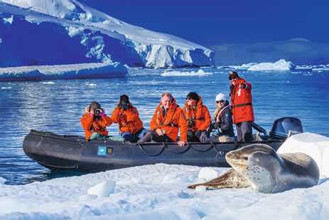 6 Seals to Spot in the Southern Ocean | Lindblad Expeditions