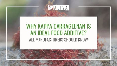 Why Kappa Carrageenan is an ideal food additive? All manufacturers should know | ALIVA™