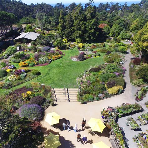 Mendocino Coast Botanical Gardens is a unique natural treasure located at 18220 North Highway 1 ...