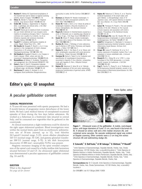 (PDF) A peculiar gallbladder content