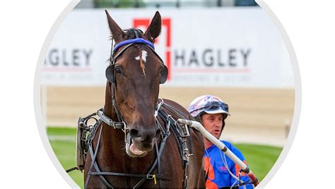 NEW ZEALAND TROTTING CUP IN PICTURES • Lincoln Farms