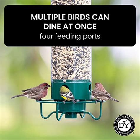 Squirrel Spinning Bird Feeder: How It Works and Why You Need One