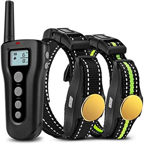 are shock collars good for training dogs - Pet And Animal Blog