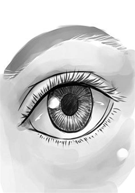 How to Draw a Human Eye - Learn how to draw