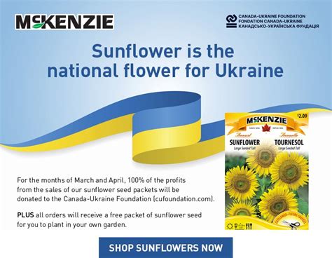 Sunflowers for Ukraine