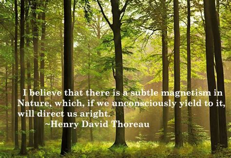 Henry David Thoreau Quotes About Nature. QuotesGram