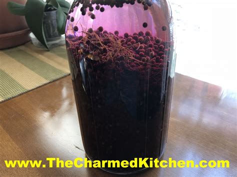 elderberry liqueur recipe | The Charmed Kitchen