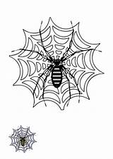 Free Coloring Pages Editable And Printable sketch template