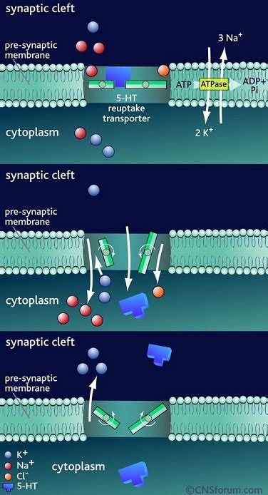 Medical Pharmacology: Drugs Used to Manage Depression