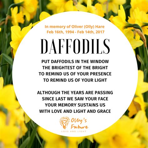 Daffodils - A poem for Oliver (Olly) Hare, written by Ann Feloy and ...