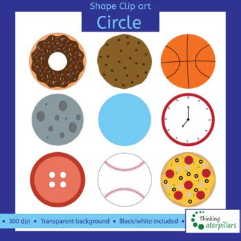 Circle objects 2D Clip art (shapes) by ThinkingCaterpillars | TpT