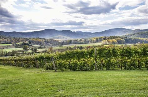 10 Top Virginia Wineries: A Day Trip from Washington D.C. • Winetraveler