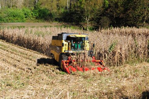 Threshing machine stock image. Image of allergies, cereals - 20460673