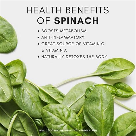 Did you know the true benefits of spinach? This is a great one to add ...