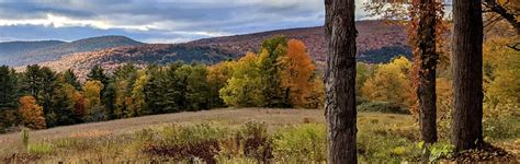 Boards & Committees — Town of Cavendish, Vermont