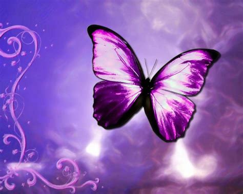 Animated Butterfly Wallpapers - Top Free Animated Butterfly Backgrounds - WallpaperAccess