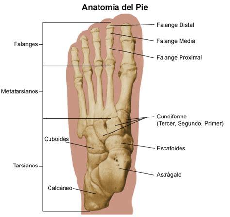 Hausaufgaben machen Besser Weinen dolor en las articulaciones de los ...