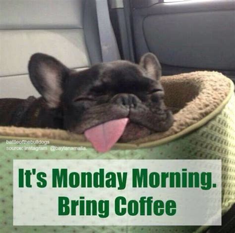 It's Monday Morning Bring Coffee Pictures, Photos, and Images for ...