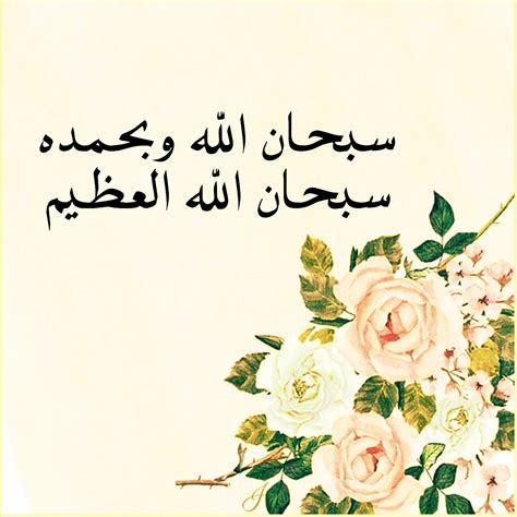 Rose Fleur Islam | Best PhotoPnG