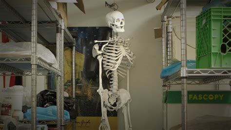 Classroom Skeleton: Whose Bones Are These? | WAMU