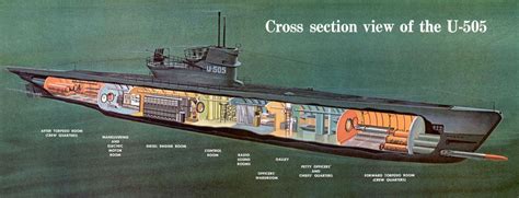 German submarine U-505 Cutaway Drawing in High quality