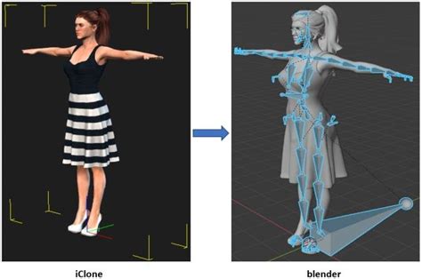 Sample of a fully rigged model imported in Blender from iClone | Download Scientific Diagram