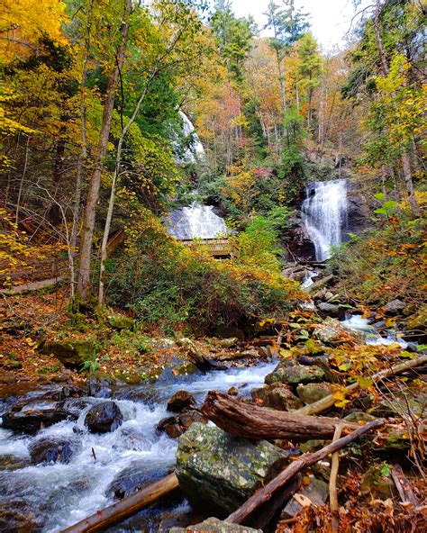 Anna Ruby Falls, Georgia. Early November. [3024x3780] [OC] : r/AutumnPorn