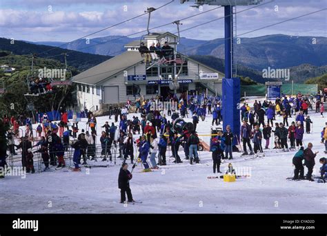 Australia, Victoria, Mount Buller, snow fields of Victoria Stock Photo - Alamy