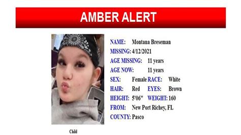 Amber Alert Canceled After Child Missing North of Tampa Found Safe ...