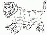Saber Tooth Tiger Coloring sketch template
